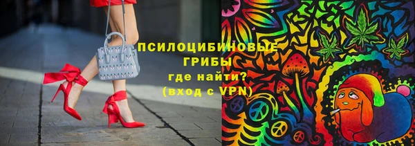 гашиш Богданович